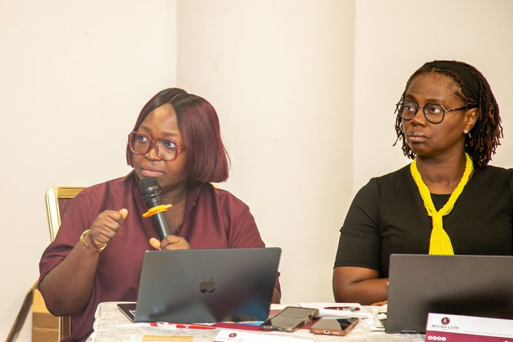 Dr. Ampah leading the presentation on digitalisation