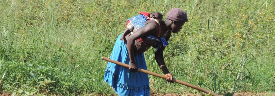 A woman working in a field in Northern Uganda while carrying a baby on her back (Photo: Leo Odongo / Wikimedia Commons, CC BY-SA 4.0)