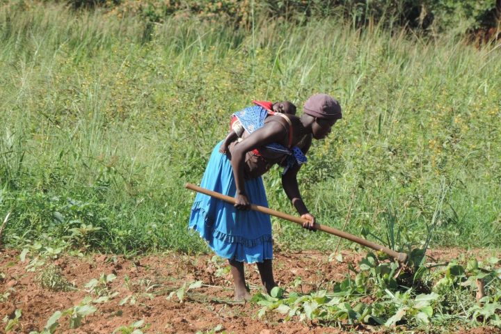 A woman working in a field in Northern Uganda while carrying a baby on her back (Photo: Leo Odongo / Wikimedia Commons, CC BY-SA 4.0)